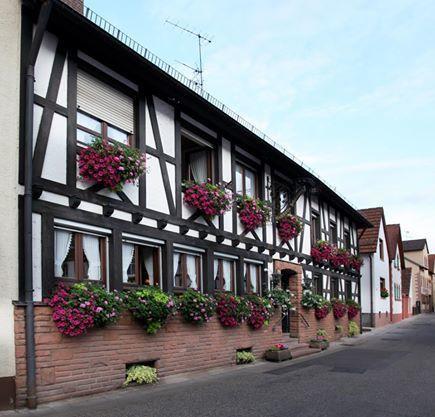 Hotel Dernbachtal Exterior foto